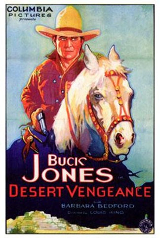 Desert Vengeance Movie Poster Print
