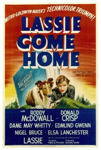 Lassie Come Home Movie Poster Print