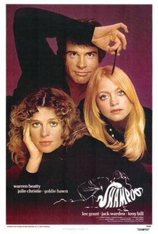 Shampoo Movie Poster Print