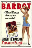 Female And The Flesh Movie Poster Print