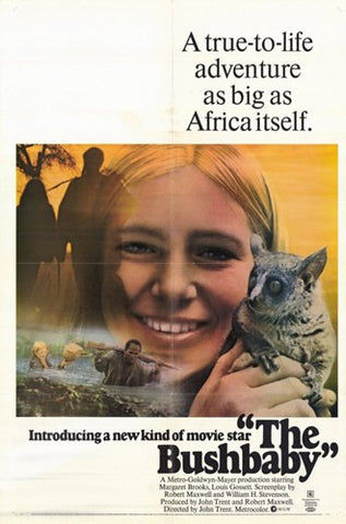 Bushbaby Movie Poster Print
