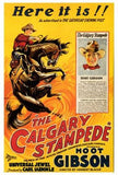 The Calgary Stampede Movie Poster Print