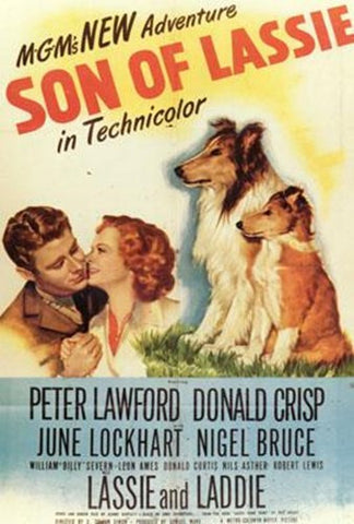 Son Of Lassie Movie Poster Print