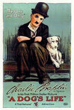 A Dog's Life Movie Poster Print