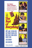 The Best Of Everything Movie Poster Print