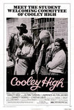 Cooley High Movie Poster Print
