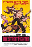 The Street Fighter Movie Poster Print