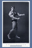 Pumping Iron Movie Poster Print