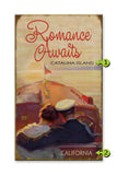Romance Awaits Metal 14x24