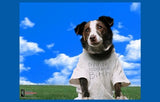 Everything is Illuminated Movie Poster Print