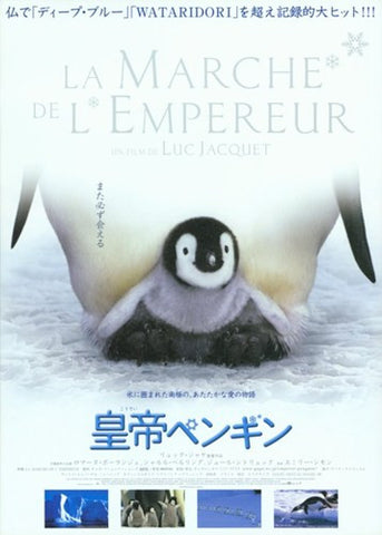 March of the Penguins Movie Poster Print