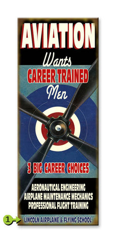 Aviation (Career Choices) Wood 17x44