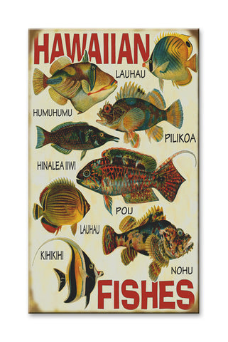 Hawaiian Fishes Metal 28x48