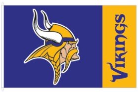 Wincraft Minnesota Vikings 3x5 Flag