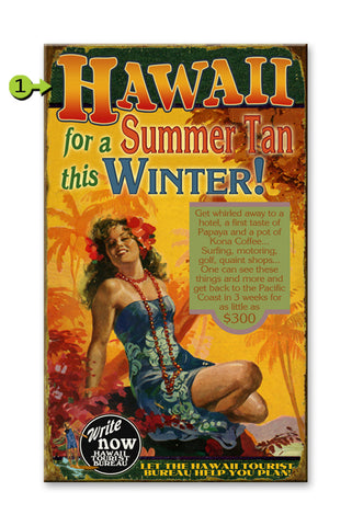 Hawaii Summer Tan in Winter Metal 14x24