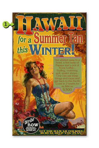 Hawaii Summer Tan in Winter Wood 18x30