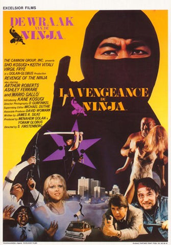Revenge of the Ninja Movie Poster Print