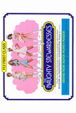 Naughty Stewardesses Movie Poster Print