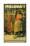 Molokai Hula Sign Metal 23x39