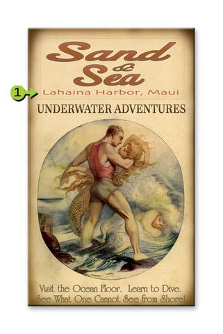 Underwater Adventures Metal 18x30