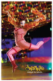 Cirque du Soleil - Saltimbanco, c.1992 Movie Poster Print