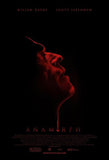 Anamorph Movie Poster Print