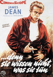 Rebel Without a Cause Movie Poster Print