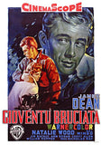 Rebel Without a Cause Movie Poster Print