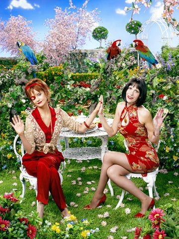 Pushing Daisies Movie Poster Print