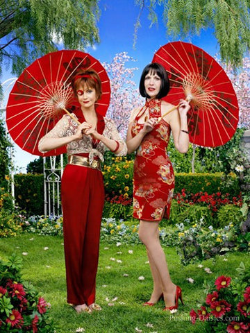 Pushing Daisies Movie Poster Print
