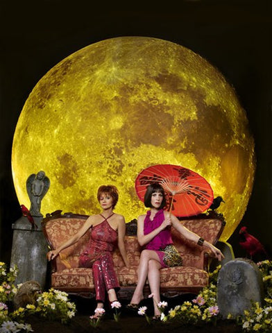 Pushing Daisies Movie Poster Print