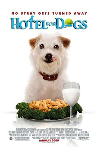 Hotel for Dogs, c.2009 - style E Movie Poster Print