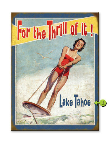 For the Thrill of It! Metal 17x23