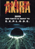 Akira Movie Poster Print