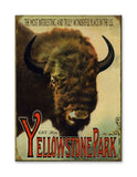 Buffalo Postcard Metal 23x31