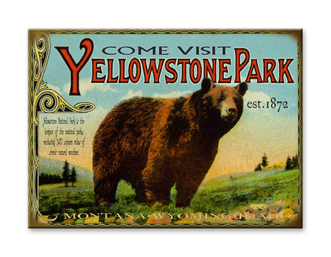 Yellowstone Park Bear Metal 28x38