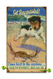 Crab on Beach Wood 18x30
