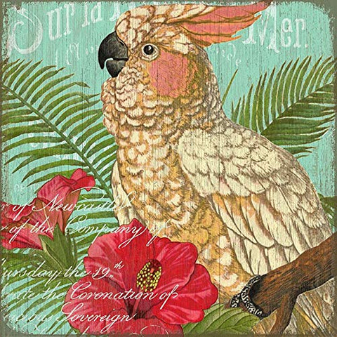 ArtFuzz Suzanne nicoll Cockatoo Image Printed to Distressed Wood Wood Sign 20x20 Special