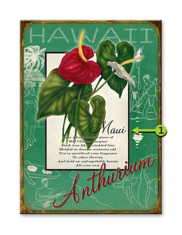 Hawaiian Anthurium Metal 17x23