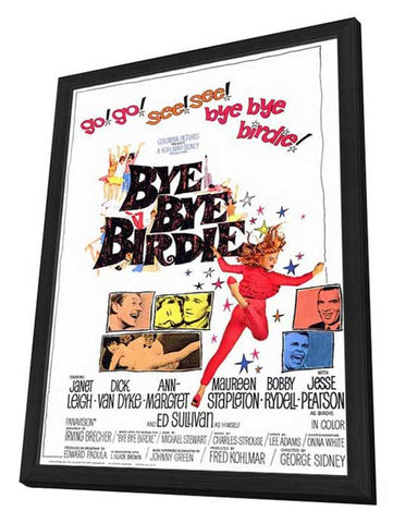 Bye Bye Birdie 11 x 17 Movie Poster - Style A - in Deluxe Aluminum Frame
