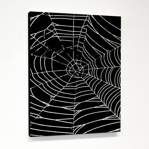 All Over Spider Webs - Black White Canvas by OBC 11 X 14