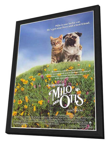 Milo and Otis 11 x 17 Movie Poster - Style B - in Deluxe Aluminum Frame
