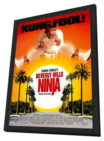 Beverly Hills Ninja 11 x 17 Movie Poster - Style A - in Deluxe Aluminum Frame