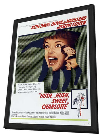 Hush...Hush, Sweet Charlotte 11 x 17 Movie Poster - Style A - in Deluxe Aluminum Frame