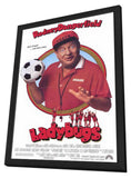 Ladybugs 11 x 17 Movie Poster - Style A - in Deluxe Aluminum Frame