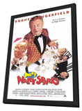 Meet Wally Sparks 11 x 17 Movie Poster - Style A - in Deluxe Aluminum Frame