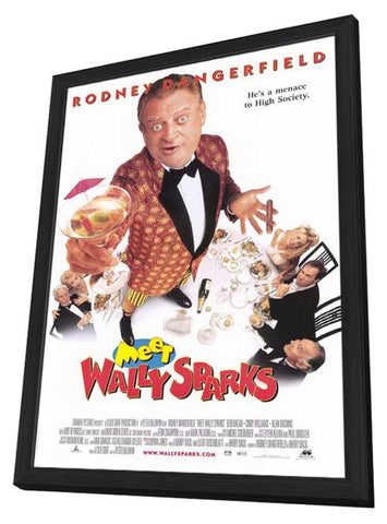 Meet Wally Sparks 11 x 17 Movie Poster - Style A - in Deluxe Aluminum Frame