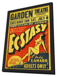 Ecstasy 11 x 17 Movie Poster - Style B - in Deluxe Aluminum Frame