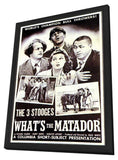 What's the Matador 11 x 17 Movie Poster - Style A - in Deluxe Aluminum Frame