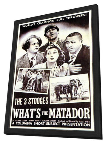 What's the Matador 11 x 17 Movie Poster - Style A - in Deluxe Aluminum Frame